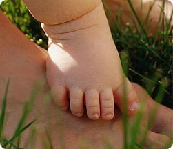 ���Ќ��}_�������}