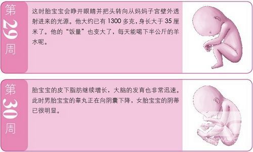 ��8�£�̥�������������