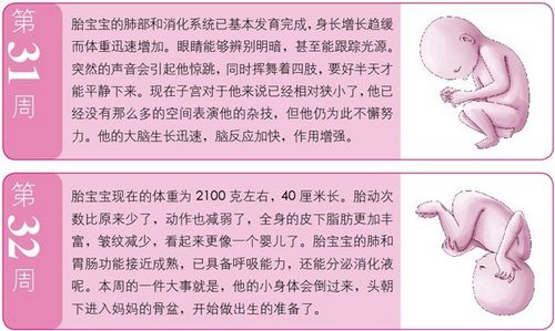 ��8�£�̥�������������