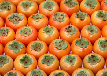 �ЋD�ܳ����ӆ᣿