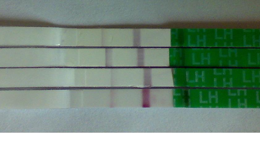 ��δ_������������һ�죿����ԇ�����÷�