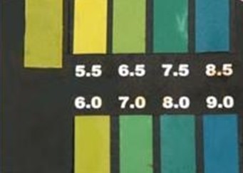 ���к��ĿƌW��������Щ����PHԇ���yԇ��A��