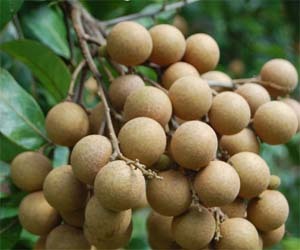 ���к��ЋD�ܳԹ��A�᣿