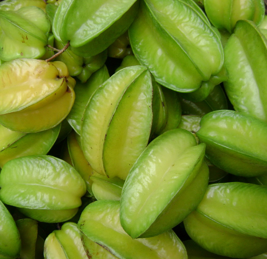 ���к��ЋD�ܳԗ��҆᣿�ԗ��ҵĺ�̎��ʲô