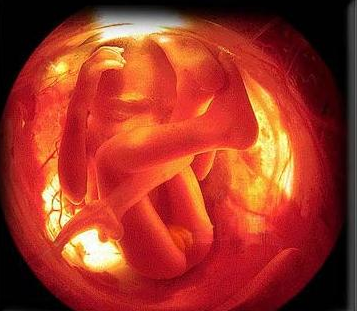 ���S���S�ľSB�����ķNB���z����ã�