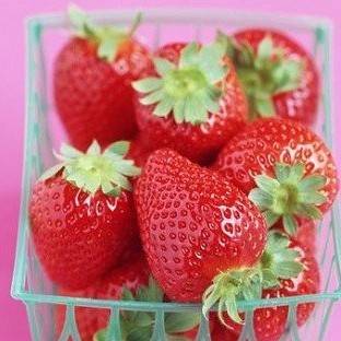 ׌Ů�ԑ��Ў��ʴ�������ĠI�B����