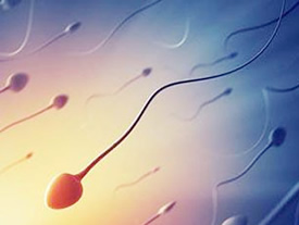 ���в����z������Щ(�з������z���Ŀ)