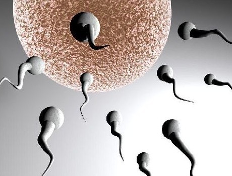 ���в����ǐ���ͻ����е��؂�֮��