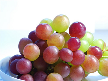 �ЋD���Գ����ц᣿���г����ѵĺ�̎