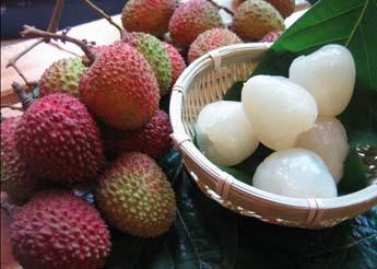 �ЋD�ܳ���֦�᣿���г���֦��ע�����