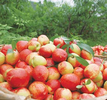 �ЋD�ܳ����ӆ᣿���г����Ӻò��ã�