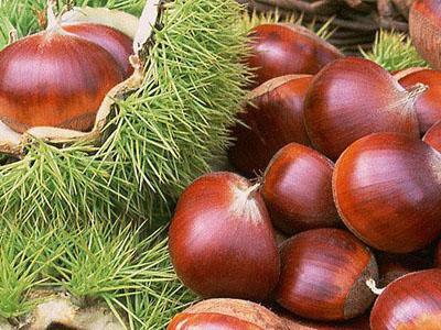 �ЋD�ܳ԰����᣿���г԰����ĺ�̎