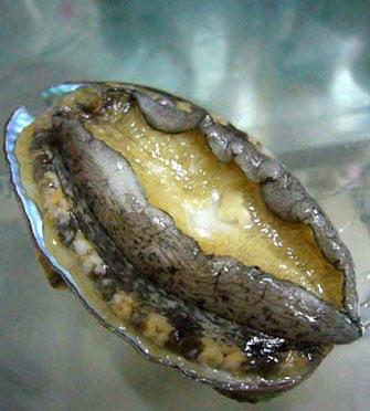 �����ܳ��U�~�᣿�ЋD�aǰ���U�~�a���ĺ�̎