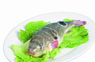 �ЋD�ܳԺ��������������g��ò�Ҫ�Ժ����~(y��)