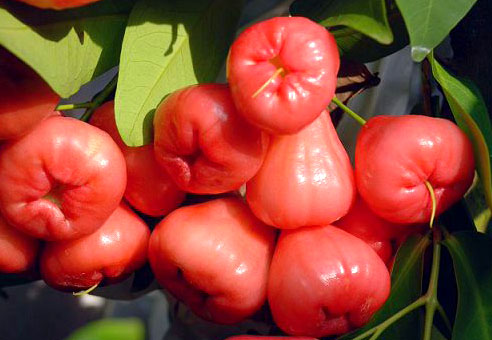 �ЋD�ܳ�ɏ�F��?���г�ɏ�F�ò��ã�