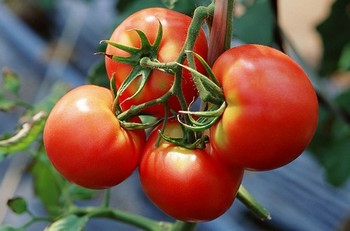 ʢ���m���ЋD�Ե�8�Nˮ���߲�