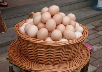 �����ЋD�������ﷴ����ʳ��ͷ���