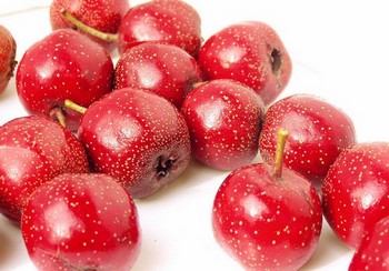 ���г����ЋD�����̎�࣬����Щ������ʳ��