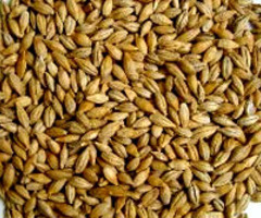 �ЋD�ܳԴ����᣿�������g�ܺȴ�����᣿