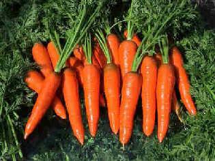 �ЋD�ܳԺ��}���᣿�������g�����Ժ��}���᣿