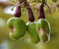 �ЋD�ܳ������᣿�������g�������ò���