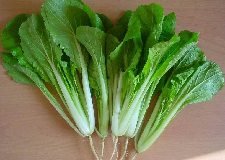 �ЋD�ܳ���ˆ᣿���г��߲��^����Ĵ�̎