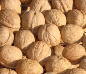 �ЋD�ܳԺ��҆�?����ʲô�r��Ժ������