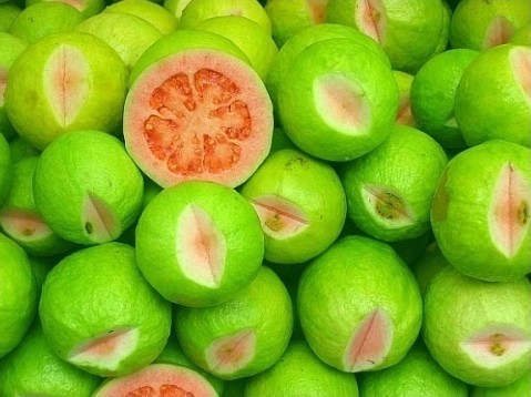 �ЋD�ܳԟo(w��)������?���гԟo(w��)��������Щ��̎