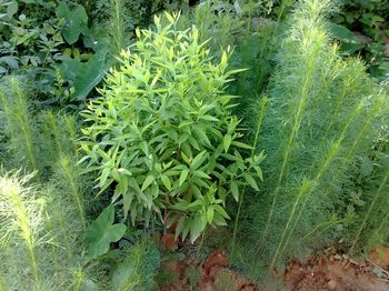 �ЋD����̴��᣿̴�㌦̥����Ӱ푆᣿