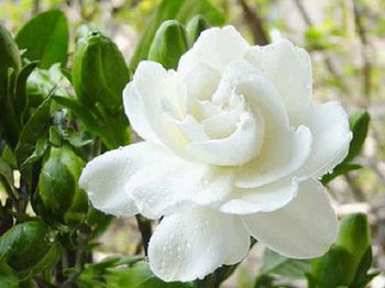 �ЋD�����d�ӻ��᣿�������㑪ע��ʲô