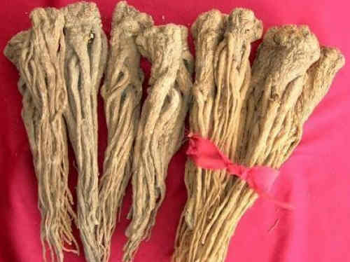 �ЋD�ܳԮ�(d��ng)�w�᣿���Ћ��䲻�ܳԮ�(d��ng)�w