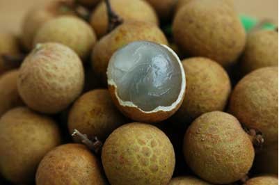 �������ܳԹ��A�᣿�a(ch��n)�D�Թ��A�ò��ã�