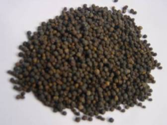 �ЋD�ܳԺ����᣿���Б�����ʳ�ß�������