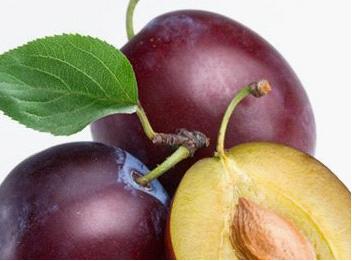 �������ܳ����ӆ᣿�a�D������ӕ�����