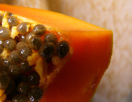 �������ܳ�ľ�φ᣿�a(ch��n)�D��ľ�ϴ������