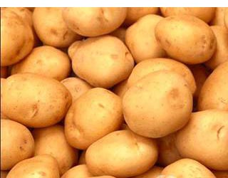 �������ܳ������᣿�������ۿ��ί��a(ch��n)�����