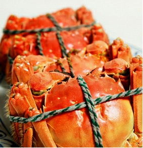 �������ܳ��з��?�a(ch��n)�D���з��(hu��)���،�������