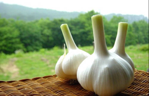 �������ܳԴ���᣿�a(ch��n)�D��Ҫ������ʳ��