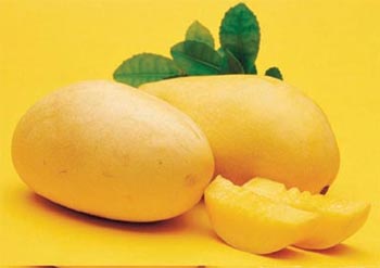 �������ܳ�â���᣿�a(ch��n)���â���ĺ�̎