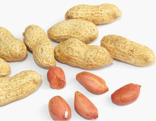 �ЋD�ܳԻ����᣿���гԻ����Æ᣿