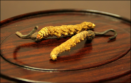 �ЋD�ܳ��x�݆᣿�������g�����^�ִ��a(b��)