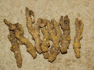 �ЋD�ܳ��S�B��?���г���ˎ��̥����Ӱ푆�?