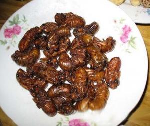 �ЋD�ܳԽ��s�᣿���гԽ��s��̎����Щ