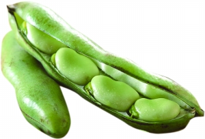 �ЋD�ܳ��Q����?���г��Q�����������Q����?