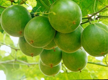 �ЋD�ܳ��_�h����?���п��Ժ��_�h�������?