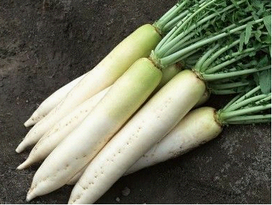 �ЋD�ܳ��}���᣿�������g��(y��ng)���԰��}��