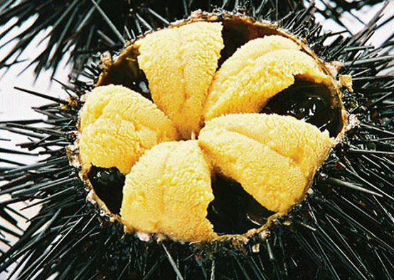 �ЋD�ܳԺ�đ�������в������Ժ�đ