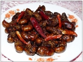 �ЋD�ܳ�֪�ˆ᣿���в��˳���ը֪��