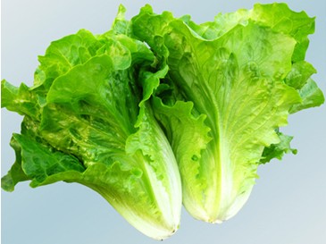 �ЋD�ܳ����ˆ᣿���п��Գ�������