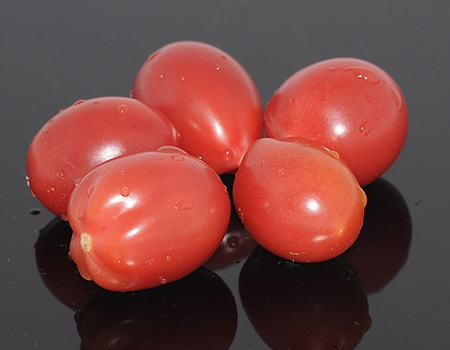 �ЋD�ܳ�ʥŮ���᣿���ʋ���ʥŮ���Æ᣿